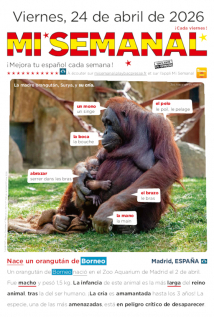 Mi Semanal