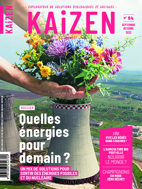 kaizen
