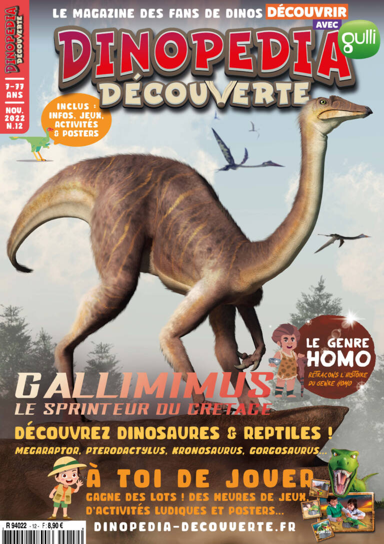 DINOPÉDIA DÉCOUVERTE