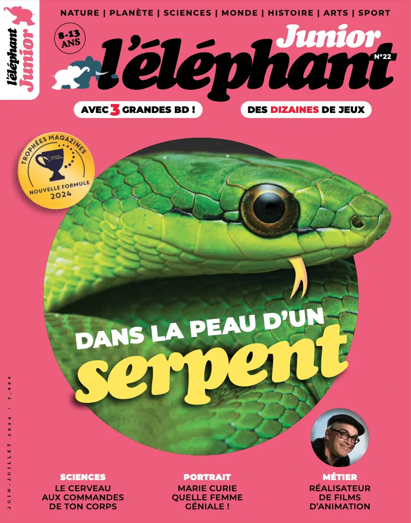 l'éléphant junior