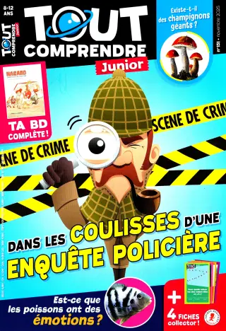 Subscription Tout comprendre