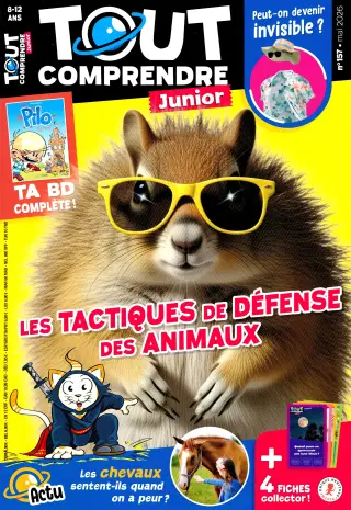 Subscription Tout comprendre