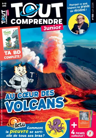 Subscription Tout comprendre