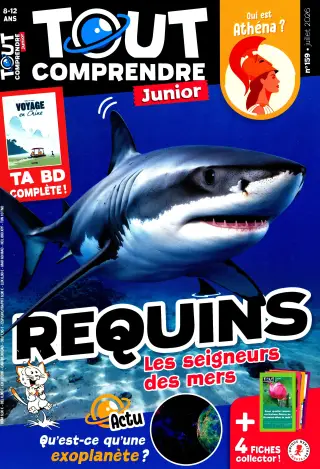 Subscription Tout comprendre