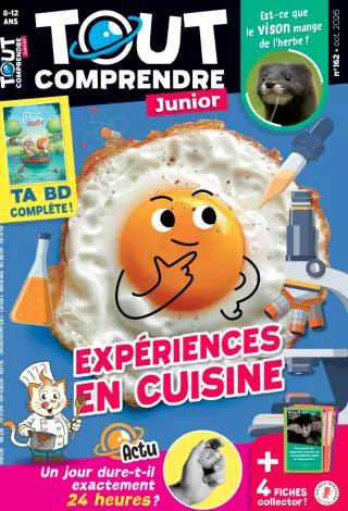 Subscription Tout comprendre