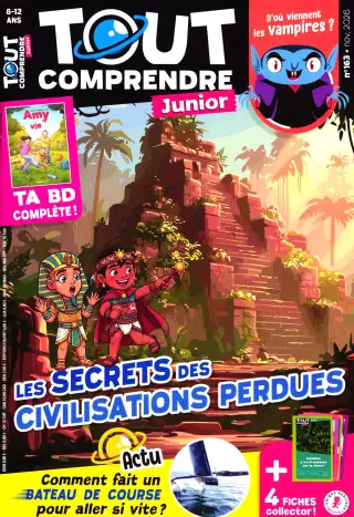 Subscription Tout comprendre