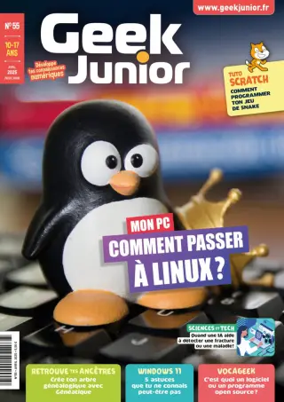 Geek Junior
