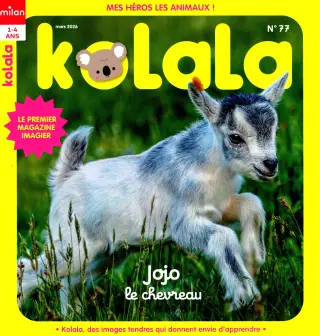 kolala maxi jeux