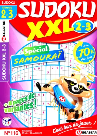 Sudoku XXL Niveau 2-3