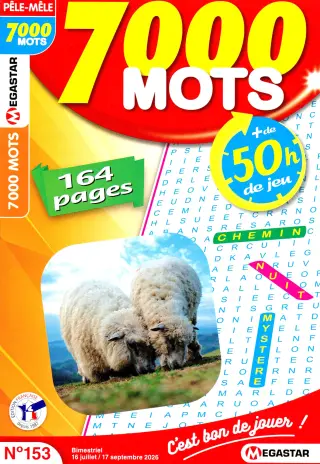 7 000 mots