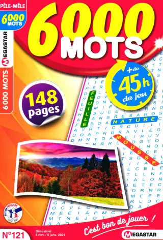 6 000 Mots