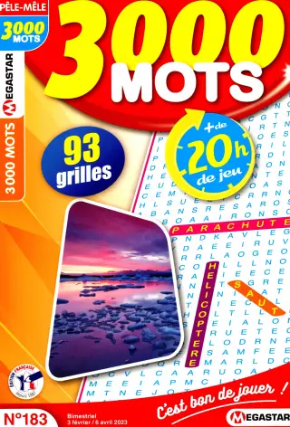 3000 Mots