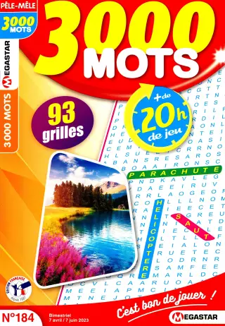 3000 Mots
