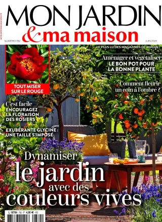 Mon jardin et ma maison