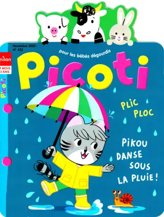 Subscription Picoti