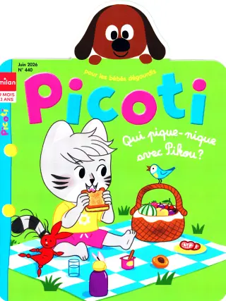 Subscription Picoti