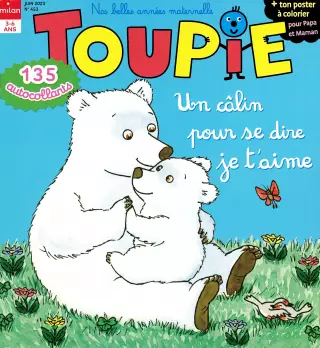 Subscription Toupie
