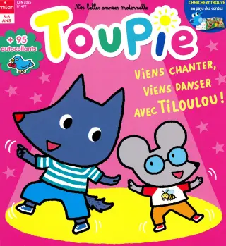 Subscription Toupie