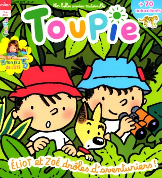 Subscription Toupie