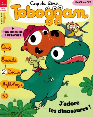Subscription Toboggan