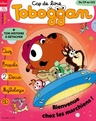 Subscription Toboggan