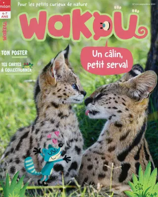 Wakou