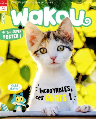Wakou