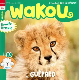 Wakou
