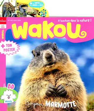 Wakou