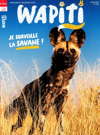 Subscription Wapiti