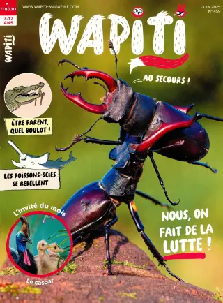 Subscription Wapiti