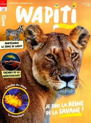 Subscription Wapiti