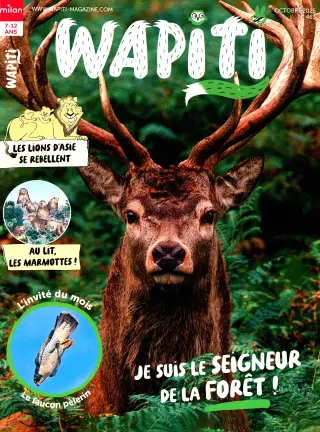 Subscription Wapiti
