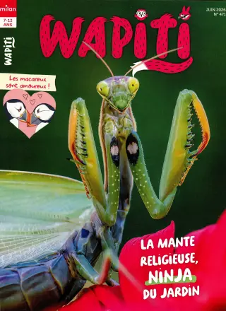Subscription Wapiti