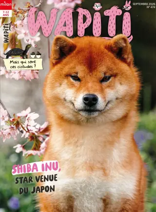 Subscription Wapiti