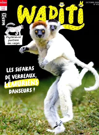 Subscription Wapiti