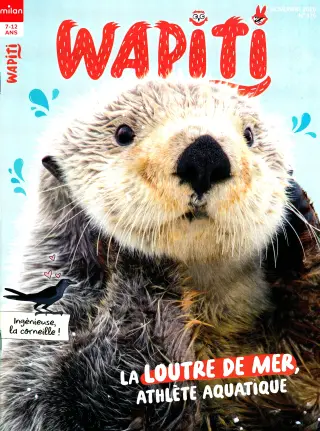 Subscription Wapiti