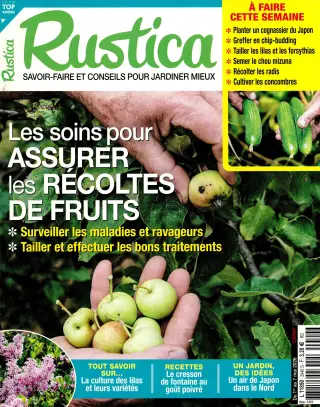 Subscription Rustica
