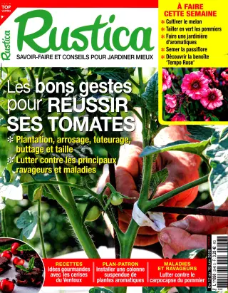 Subscription Rustica