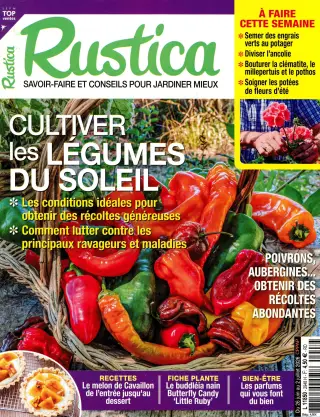 Subscription Rustica