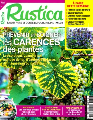 Subscription Rustica