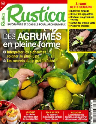 Subscription Rustica