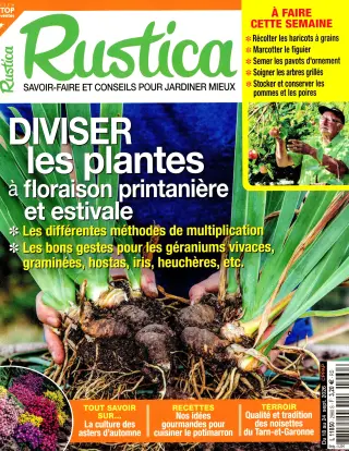 Subscription Rustica