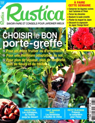 Subscription Rustica