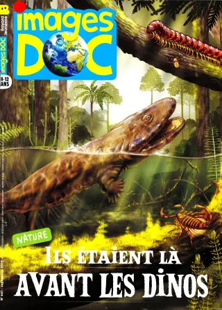 Images Doc