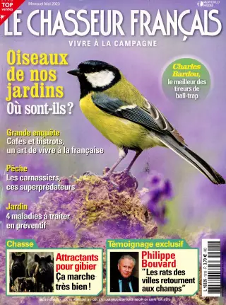 Chasseur Français