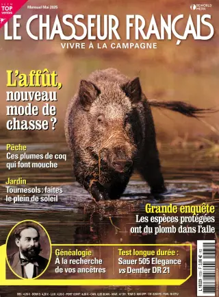 Chasseur Français