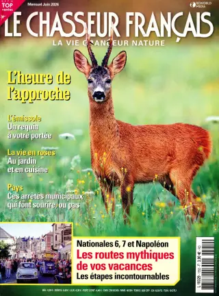 Chasseur Français
