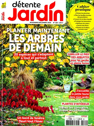Subscription Détente jardin