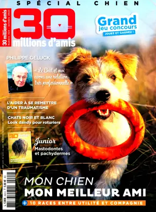 30 millions D'amis
